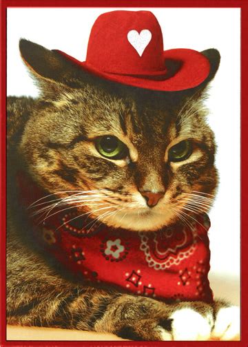 Table cat, coughing cat, enamel, sad cat, smudge the cat, sad yeehaw, cat meme, cowboy cat, screaming cat, internet cats. Cat With Cowboy Hat & Bandana Funny Valentines Day Card ...
