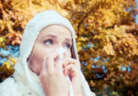 What Are The Different Types Of Fall Allergies