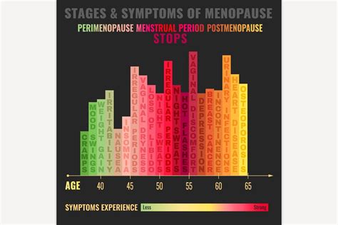 Stages Of Menopause Infographic Education Illustrations Creative Market
