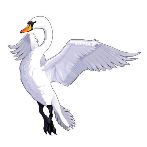 Download Swan Cartoon For Free Fly Drawing Swan Drawing Cartoon Birds