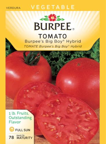 Burpee Big Boy Hybrid Tomato Seeds 1 Count Fred Meyer