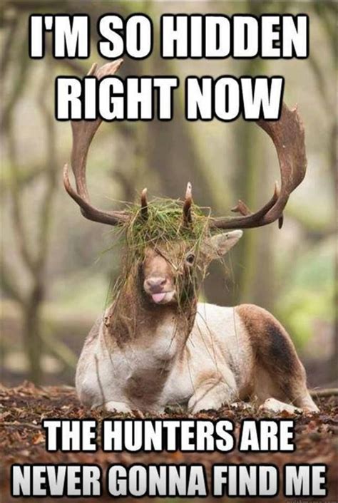 17 Best Images About Funny Archery Memes On Pinterest