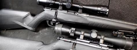 Top 10 Best 17 Hmr Rifles 2022 Plinking And Varmint Hunting
