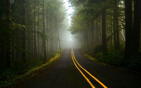 Does Anybody Ever Just Want To Drive Down A Road With Forests