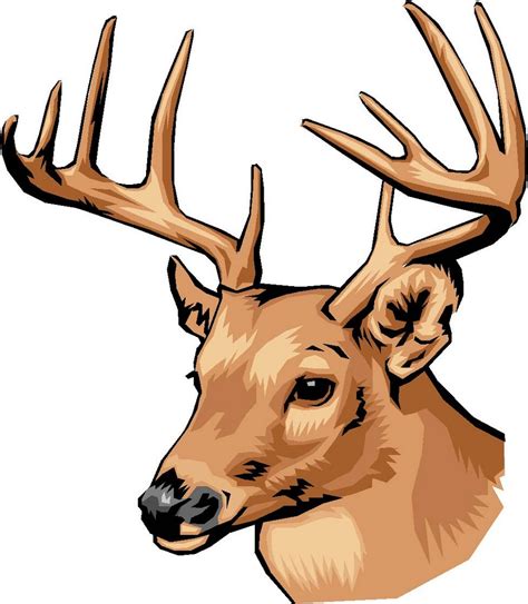 Deer Drawing Clipart Best