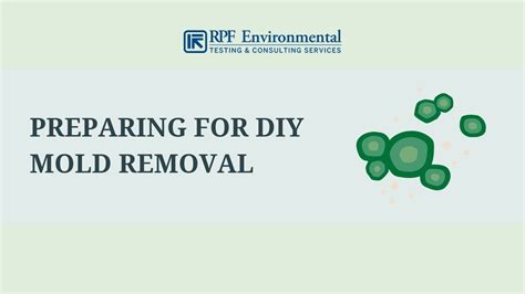 Diy Mold Removal Can You Clean Up Mold Yourself