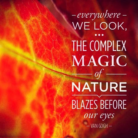 Quotes On Wonders Of Nature Quotesgram