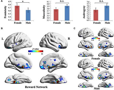 Frontiers Sex Specific Functional Connectivity In The Reward Network Related To Distinct
