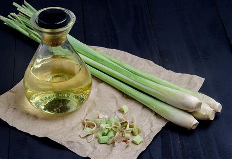 Is rc oil safe during pregnancy. Is It Safe to Use Lemongrass Oil While Pregnant?