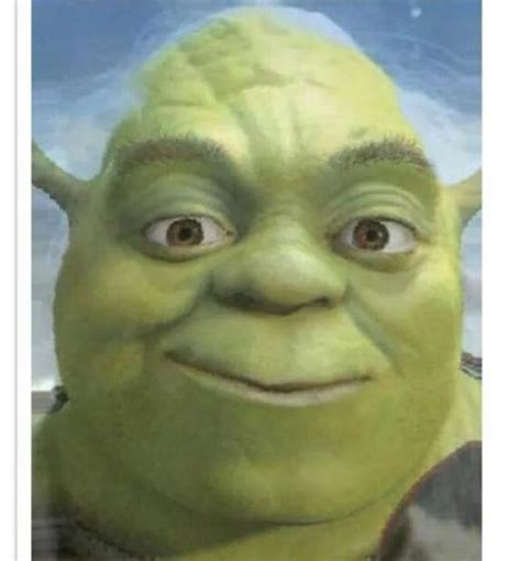 Shrek Feat Yoda Is Yoda A Kind Of Mini Oga Lol Rshrek