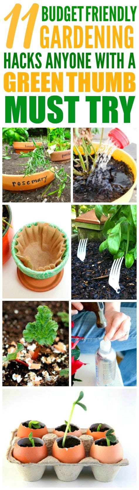 11 easy gardening hacks and tips you ll wish you d known sooner gardening tips easy gardening