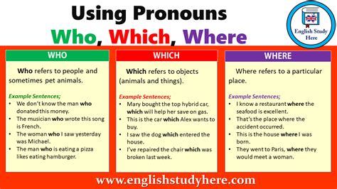 Using Pronouns Who, Which, Where - English Study Here