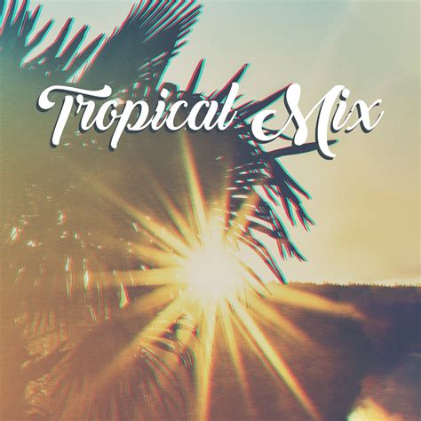 chillout café tropical mix summer ibiza pure relaxation relax under palms chill out lounge