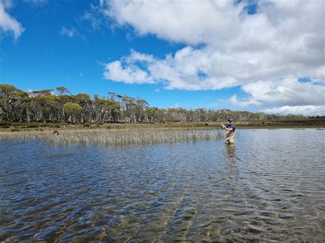 Fly Fishing Tasmania Report Feb 2021 Riverfly 1864 River And