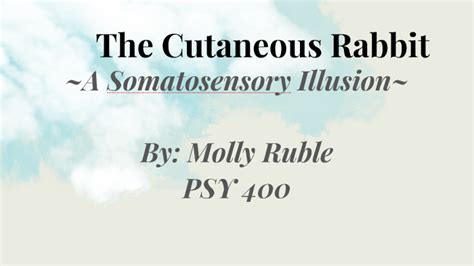 The Cutaneous Rabbit Illusion By Molly Ruble