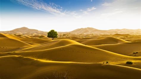 Rub Al Khali Desert On The Border Of Oman And The Emirate Of Dubai By