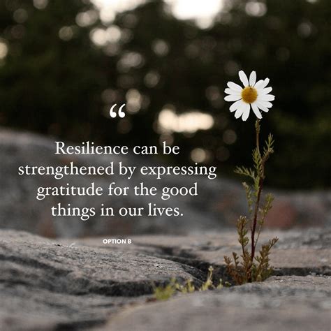 Resilience & Gratitude - Hope For Widows Foundation