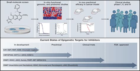 Cancer Epigenetics From Mechanism To Therapy Cell