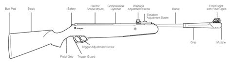 What Is An Airgun AirGun Expert