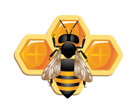 Honey And Bee Insect Vector Free For U