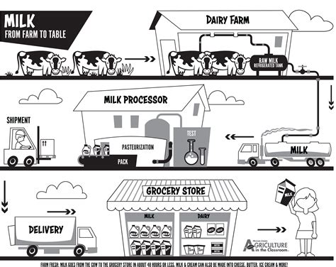 Dairy Farm To Table Coloring Page From Farm To Table Dairy Farms