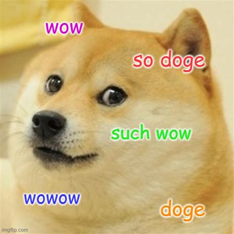 Doge Wow Imgflip