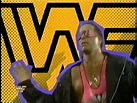 WWF Mania 1994 Complete Season Set DVD on 27 Discs - Etsy