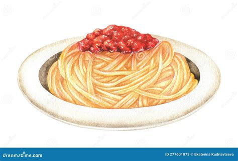 Watercolor Illustration Spaghetti Bolognese Clip Art Pasta With