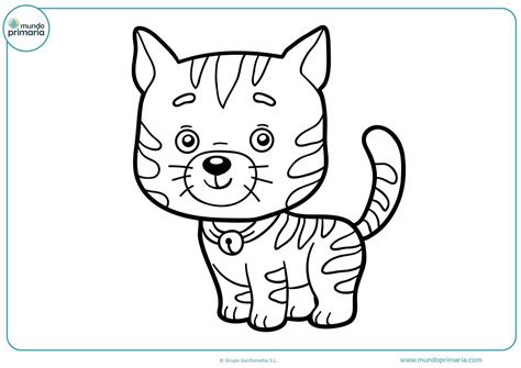 Dibujos de Animales Domésticos para Colorear Imprimir y Pintar