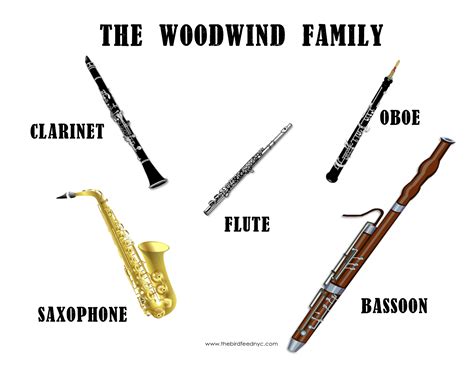 Woodwind Instrument