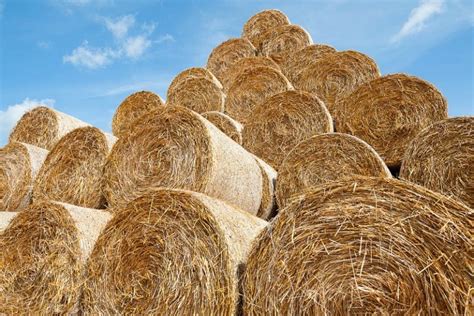 What Is Hay Bale And What Is It Made From