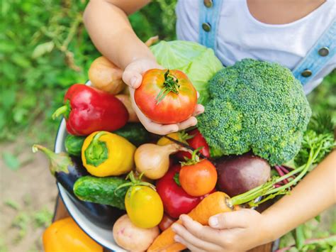 When Are Vegetables Fresh: Tips On Checking For Vegetable Freshness