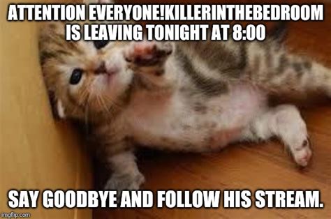 Sad Kitten Goodbye Imgflip