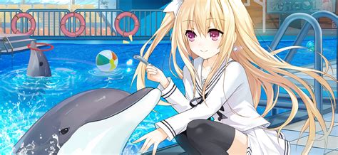 Anime Dolphin Pictures Peepsburghcom