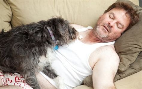 16 More Dogs Who Turned Their Humans Belly Into A Giant