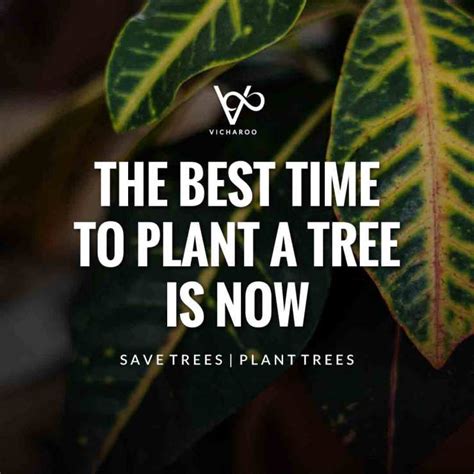 The Best Time To Plant A Tree Is Now Save Forests Tree Plantation
