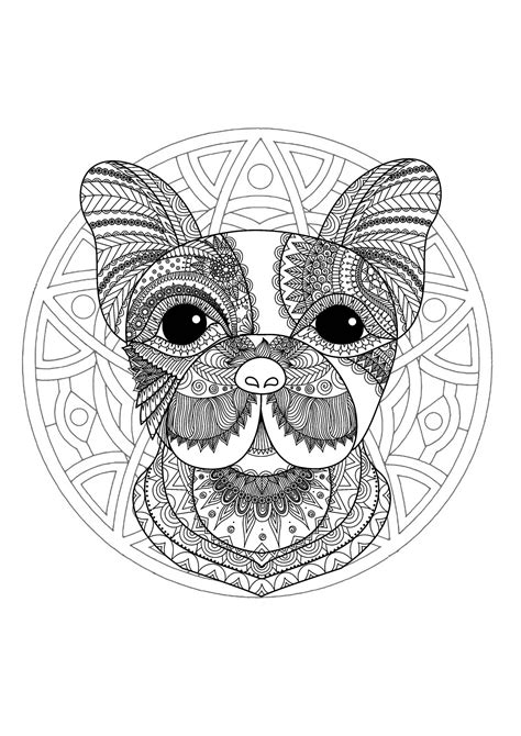 Dessin A Imprimer Mandala Animaux Coloriages Gratuits A Imprimer This