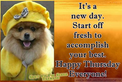 Happy Thursday Everyone Friday Is Coming Closer Woohoo