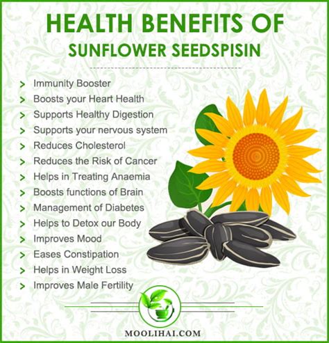Sunflower Seeds Health Benefits Nutrition Facts And Uses