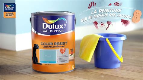 Dulux Valentine Color Resist Une Peinture Mate Résistante Et