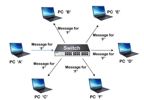 What Is Routers And Switches In Networking