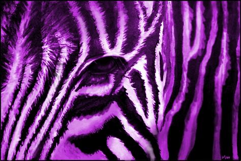 Purplezebraprintbackground Best Animal Wallpapers Zebra Print