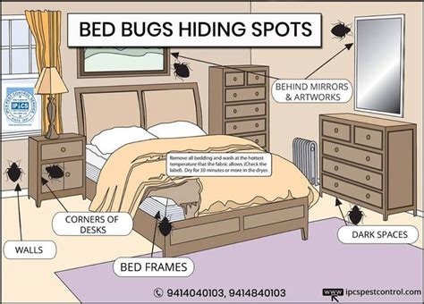 Bed Bug Hiding Spots In Home Room Ipcspestcontrol
