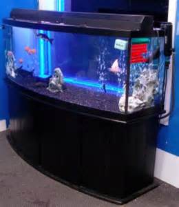 155 Gallon Bow Front Aquarium Fish Tank Complete Phila PA