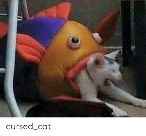 Cursedcat Cat Meme On Meme