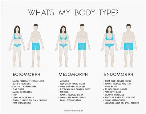 What S My Body Type