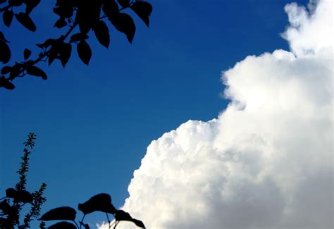 Billowing Cumulus Cloud Free Stock Photo Public Domain Pictures