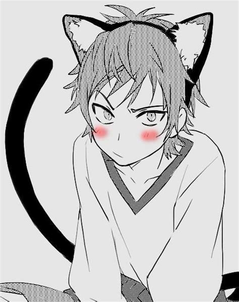 Neko Boy Blush Kawaii Anime Manga Anime Neko Anime