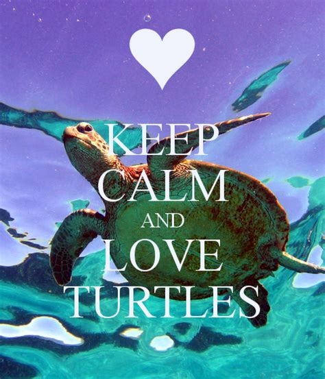 Personalised Posters With A Keep Calm And Love Turtles Design