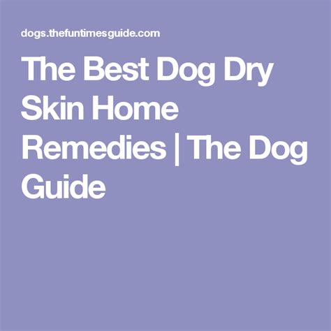 The Best Dog Dry Skin Home Remedies Dry Skin Home Remedies Home